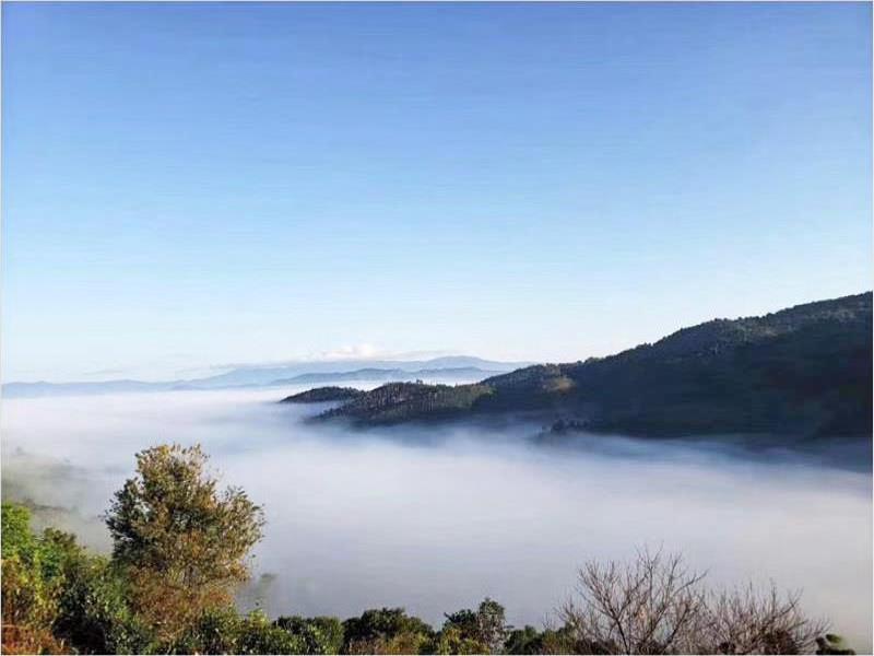 彩云之上，暖河飘香