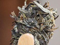 云话茶事 | 如何品饮新茶？