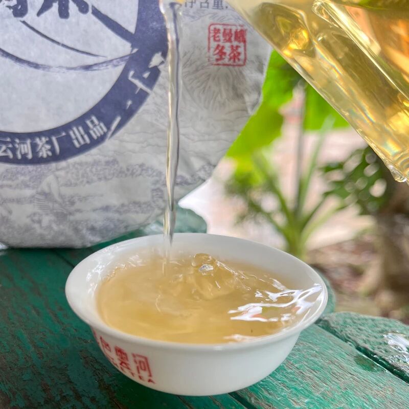 【云话茶事】一山一味之老曼峨