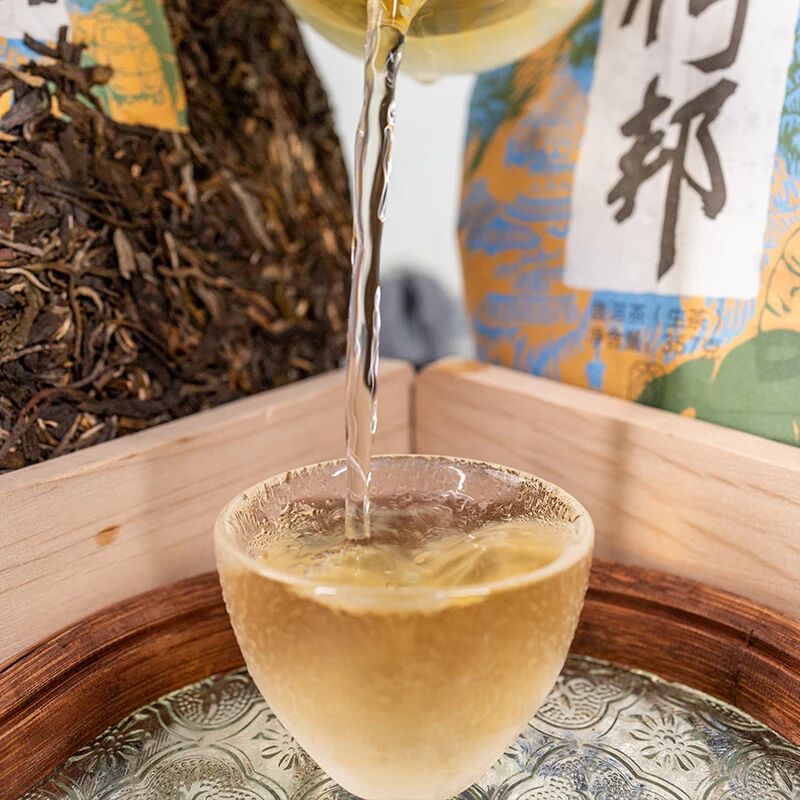 【云话茶事】一山一味之倚邦古茶山