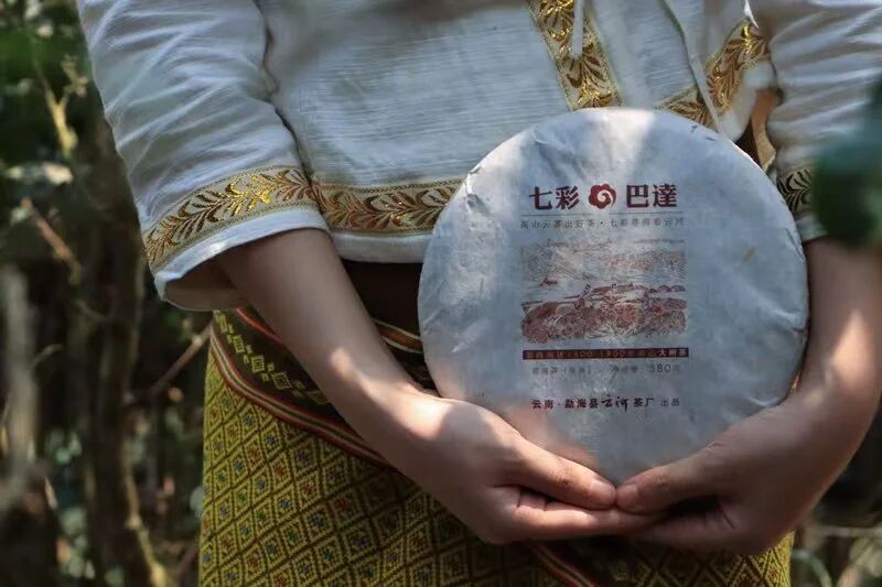 【云话茶事】一山一味之巴达