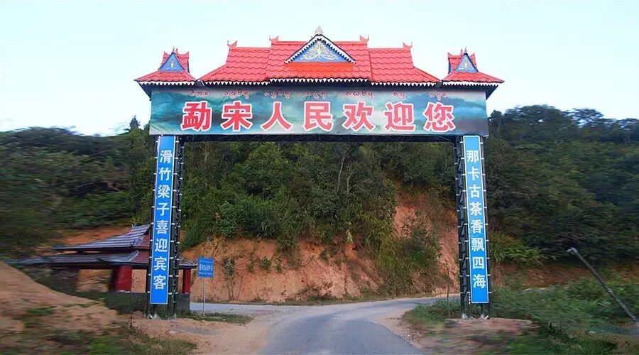 【云话茶事】一山一味之那卡