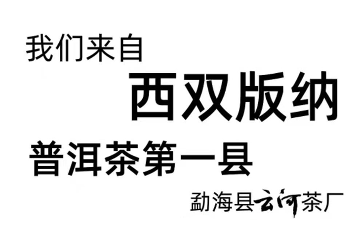 绿博会|相约鹭岛 共品云河茶