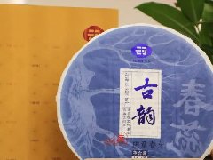 ​云河茶品 | 享古韵春蕊，品岁月春意
