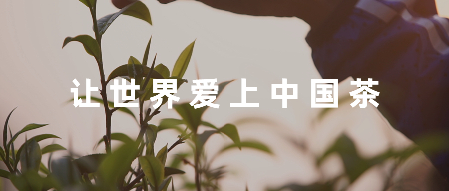 云话茶事 | 一起努力，弘扬中华茶文化！