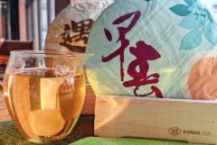 云河品鉴|2025年早春